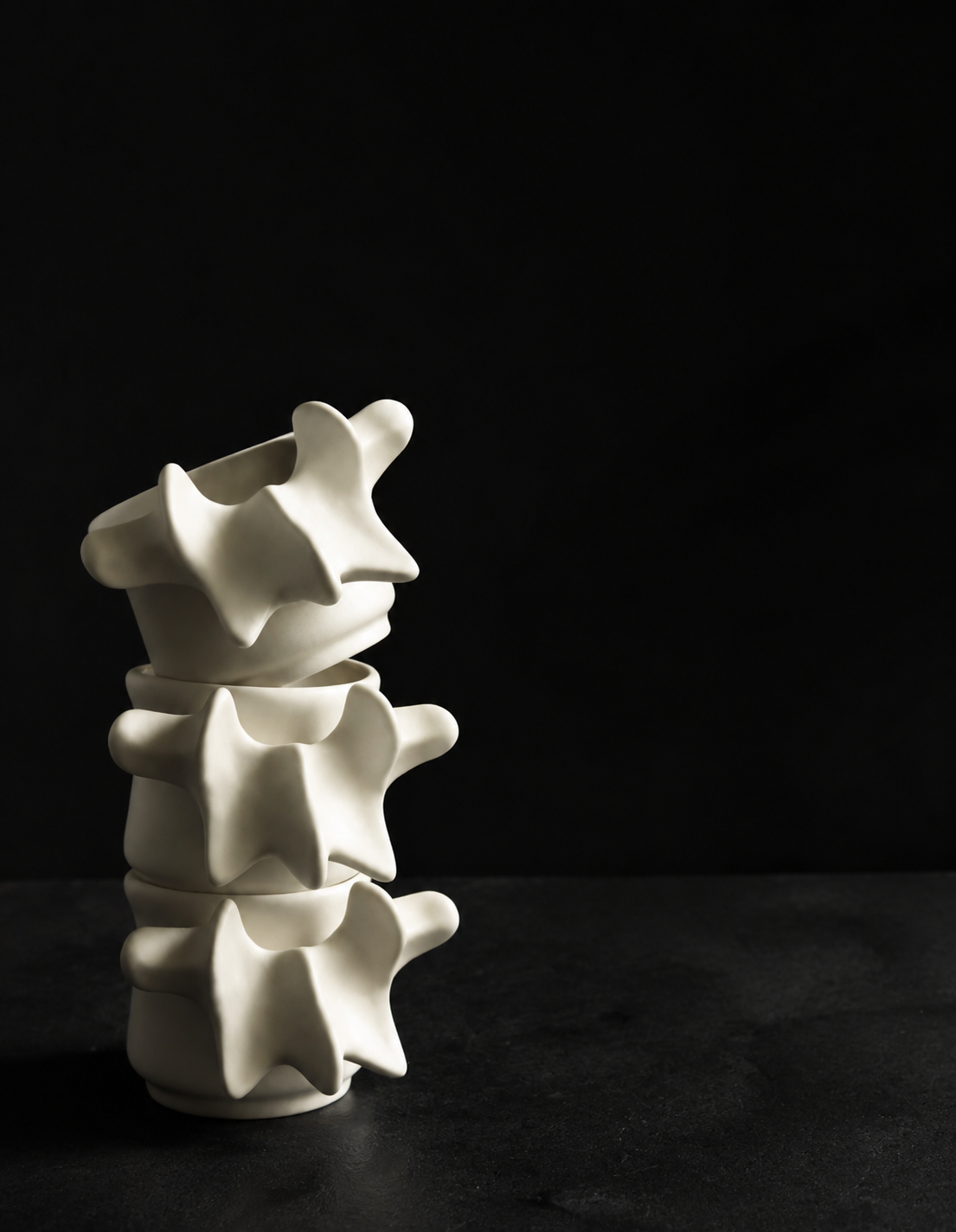 Vertebra Sculpted Ceramic Collection