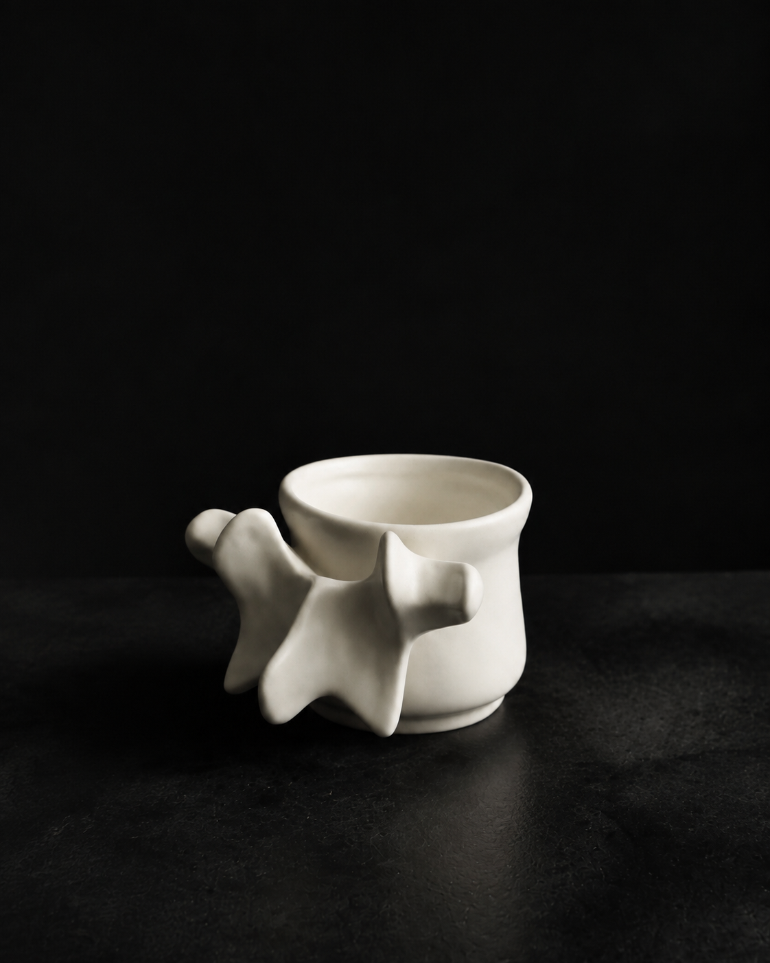 Vertebra Sculpted Ceramic Collection